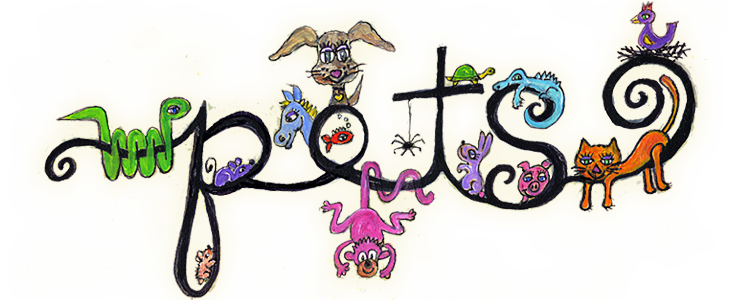 Magic Brush Pets Unleashed! Magic Brush Pets Unleashed!