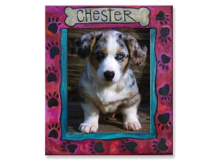 Chester Frame