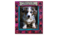 Chester Frame